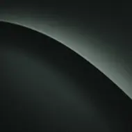 로버스트 에메랄드 펄