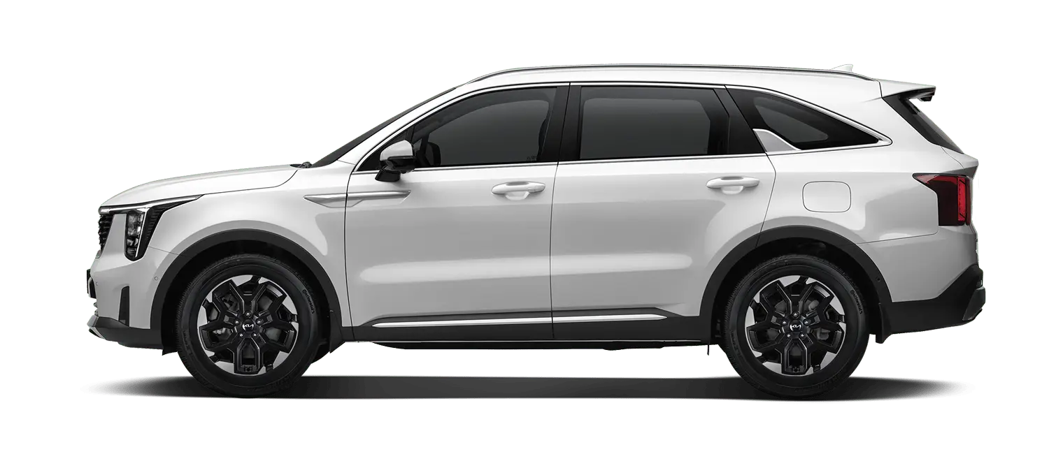 2.5 가솔린 터보 6인승 노블레스 4WD DCT